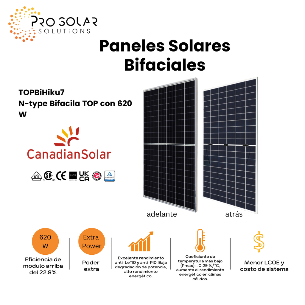 Panel Solar Bifacial