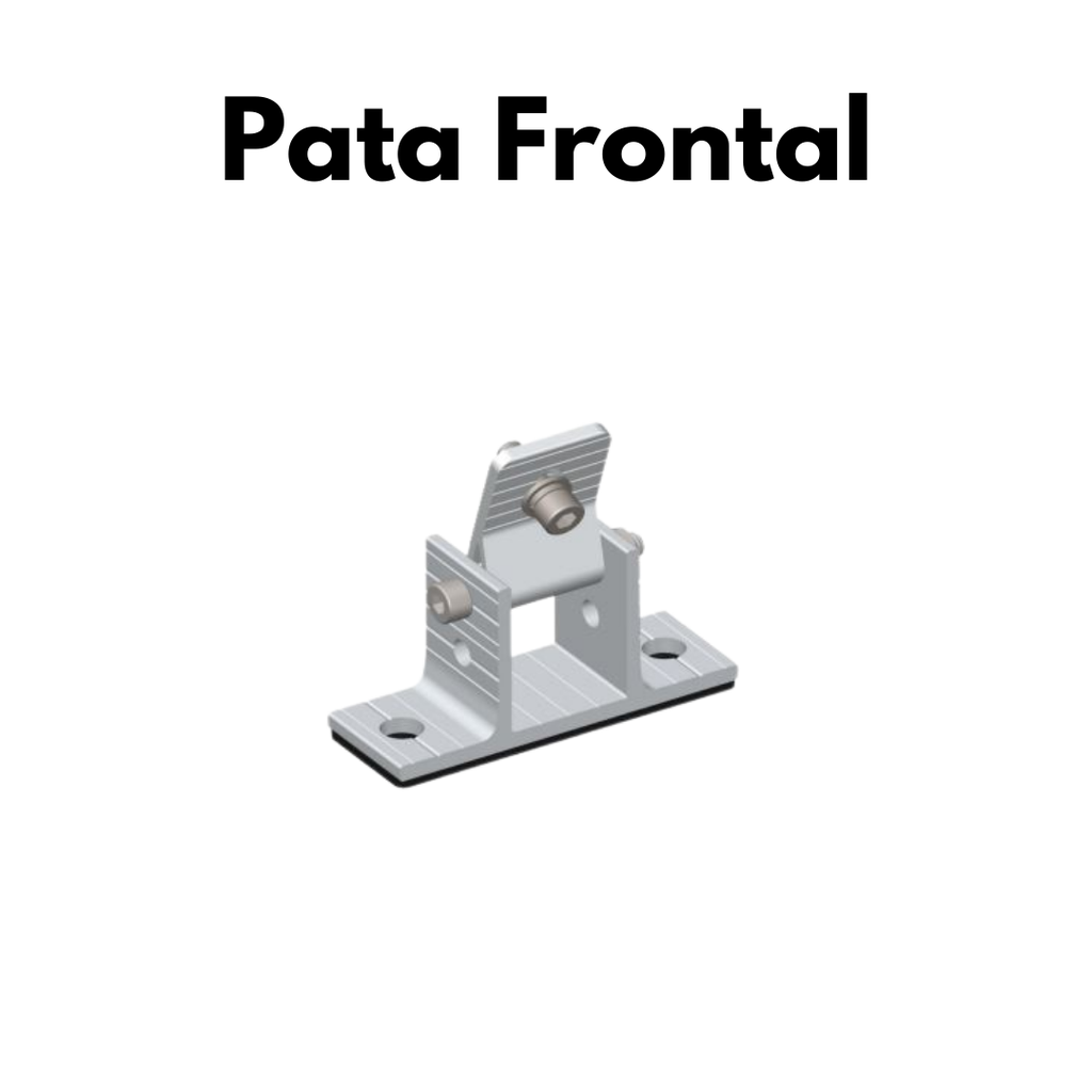 Pata Frontal